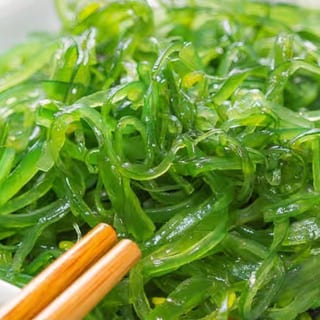 Seaweed Salad海草